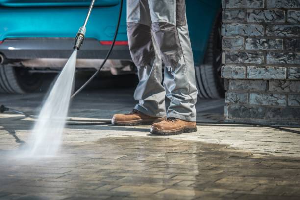 Best Spring Cleaning  in North Lynnwood, WA