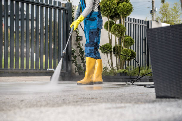 Best Fence Cleaning  in North Lynnwood, WA