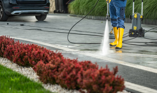 Best Playground Equipment Cleaning  in North Lynnwood, WA
