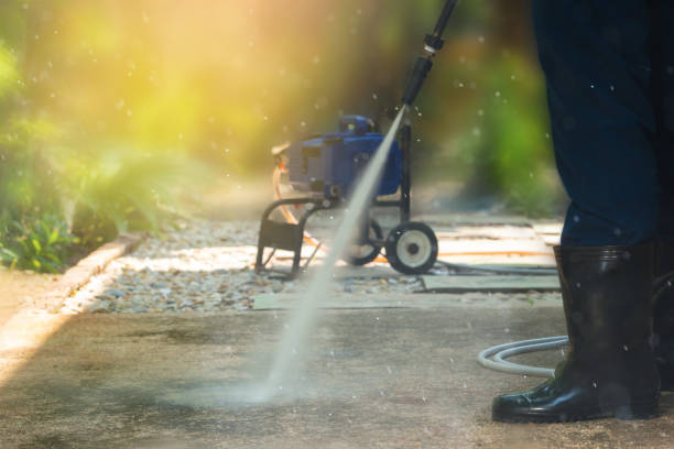 Pre-Holiday Cleaning in North Lynnwood, WA